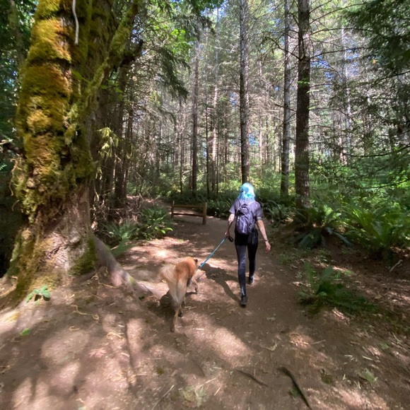 Meet your Posher, Lily - Picture 8 of 15